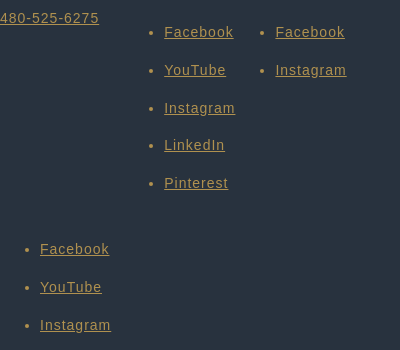 Premiere Social Media Logo