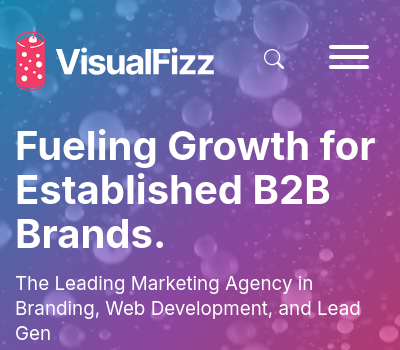 VisualFizz Logo