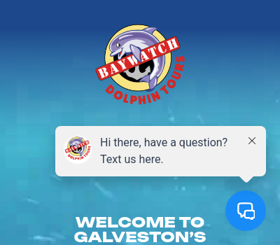 Baywatch Dolphin Tours Logo