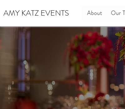 Amy Katz Events Logo