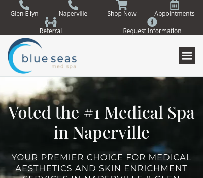 Blue Seas Med Spa Logo